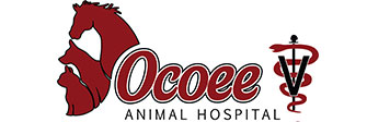 Link to Homepage of Ocoee Animal Hospital