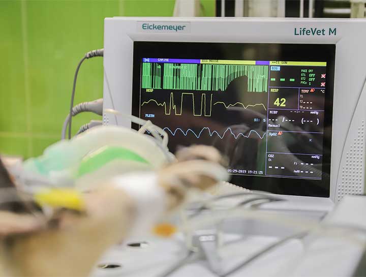 Anesthesia & Pain Management $practice 